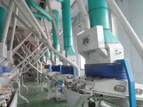 Corn flour processing machine