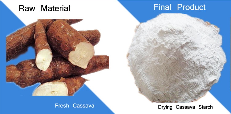 cassava starch making plant